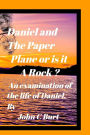 Daniel and The Paper Plane or is it a Rock?