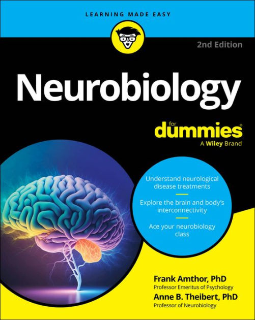 Neurobiology For Dummies by Frank Amthor, Anne B. Theibert