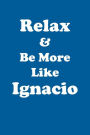 Relax & Be More Like Ignacio Affirmations Workbook Positive Affirmations Workbook Includes: Mentoring Questions, Guidance, Supporting You