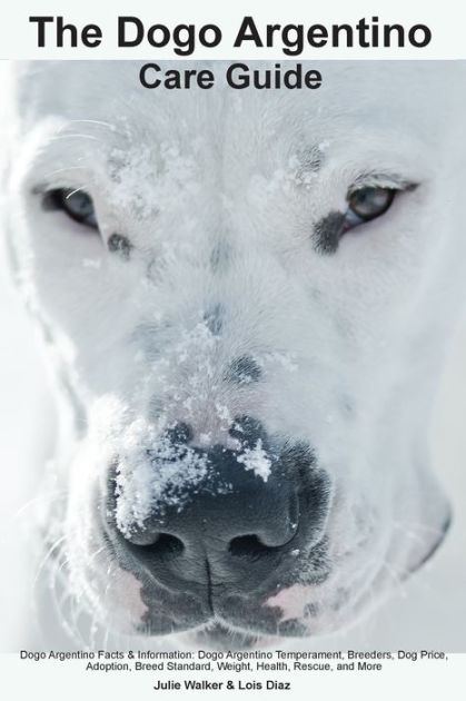 Dogo Argentino, Dog Breed, Description, Temperament, & Facts