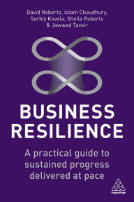 Title: Business Resilience: A Practical Guide to Sustained Progress Delivered at Pace, Author: David Roberts