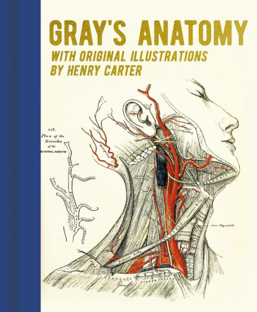 Gray S Anatomy With Original Illustrations By Henry Carter By Henry