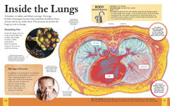 Alternative view 4 of The New Encyclopedia of the Human Body: Cells, Genes and DNA, Organs and Systems, the Brain, and More!