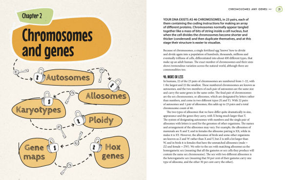 Unlock Genetics in 10 Concise Chapters