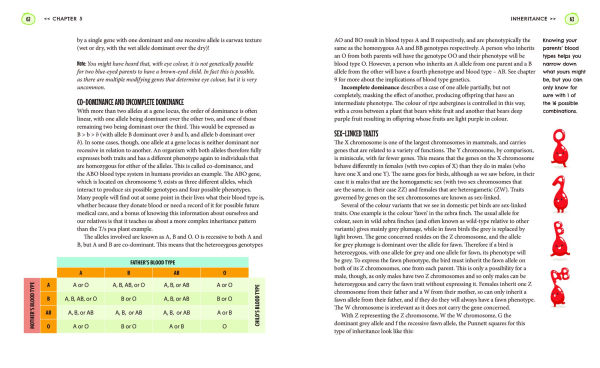 Unlock Genetics in 10 Concise Chapters