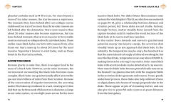 Alternative view 3 of The Essential Book of Black Holes: Master the Mysteries of Black Holes in 12 Short Chapters