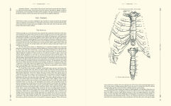 Alternative view 2 of Gray's Anatomy