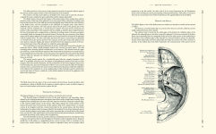 Alternative view 3 of Gray's Anatomy