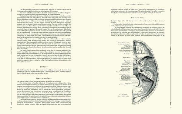 Gray's Anatomy