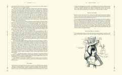 Alternative view 4 of Gray's Anatomy