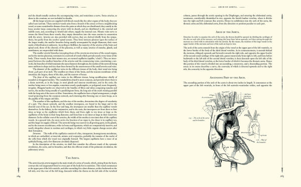 Gray's Anatomy
