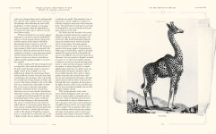 Alternative view 4 of On the Origin of Species