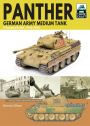 Panther German Army Medium Tank: Italian Front, 1944-1945