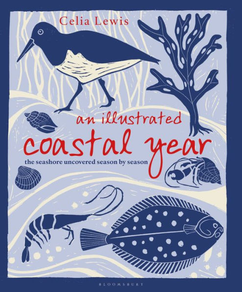 An Illustrated Coastal Year: The seashore uncovered season by season