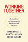 Working Together: Collective Action, the Commons, and Multiple Methods in Practice