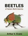 Beetles of Eastern North America