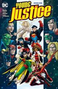 Title: Young Justice Book One, Author: Peter David