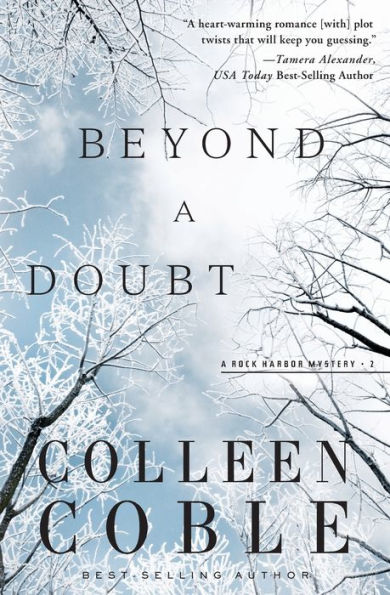 Beyond a Doubt (Rock Harbor Series #2)