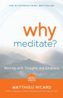 Why Meditate: Working with Thoughts and Emotions