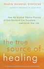The True Source of Healing: How the Ancient Tibetan Practice of Soul Retrieval Can Transform and Enrich YourLife
