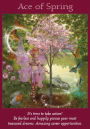 Alternative view 5 of Fairy Tarot Cards: A 78-Card Deck and Guidebook