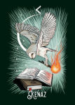Alternative view 4 of The Witchs Familiar Runic Oracle: A 24-Card Deck and Guidebook