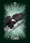 Alternative view 7 of The Witchs Familiar Runic Oracle: A 24-Card Deck and Guidebook