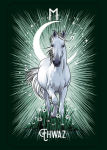 Alternative view 8 of The Witchs Familiar Runic Oracle: A 24-Card Deck and Guidebook