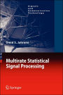 Multirate Statistical Signal Processing / Edition 1