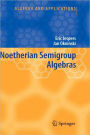Noetherian Semigroup Algebras