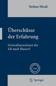 Title: Überschüsse der Erfahrung: Grenzdimensionen des Ich nach Husserl / Edition 1, Author: Stefano Micali