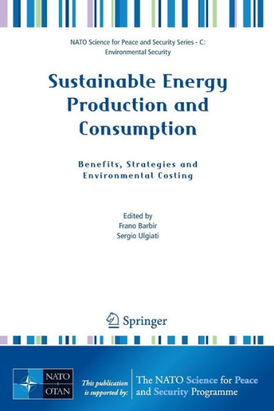 Sustainable Energy Production and Consumption: Benefits, Strategies and Environmental Costing / Edition 1