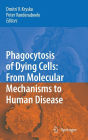 Phagocytosis of Dying Cells: From Molecular Mechanisms to Human Diseases