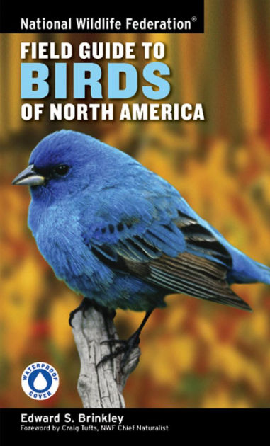 送込★FIELD GUIDE TO THE ANIMALS OF BRITAIN 送込☆FIELD GUIDE TO THE ANIMALS OF BRITAIN Field Guide to