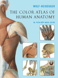 Title: The Color Atlas of Human Anatomy, Author: Petra Köpf-Maier