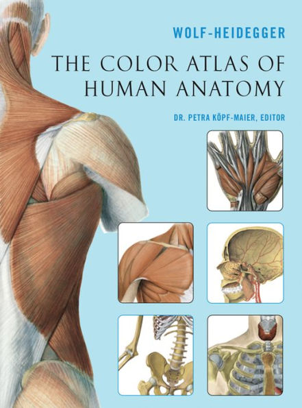 The Color Atlas of Human Anatomy