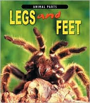 Legs and Feet