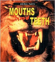 Mouths and Teeth
