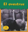 El avestruz