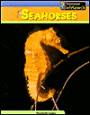 Seahorses (Sea Creatures Series)