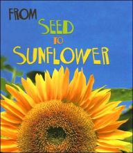 From Seed to Sunflower