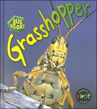 Grasshopper