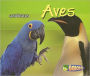 Aves (Birds)