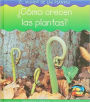 ¿Cómo Crecen las Plantas?