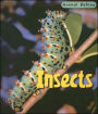 Insects