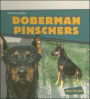 Doberman Pinschers