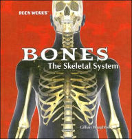 Bones: The Skeletal System