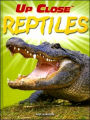Reptiles