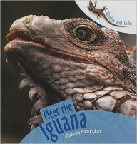 Meet the Iguana