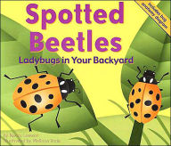 Spotted Beetles: Ladybugs in Your Backyard